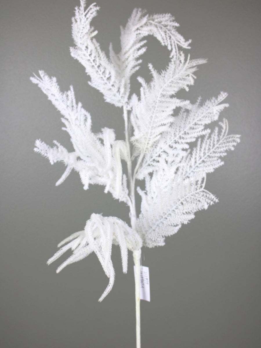 Bleached Pine Spray White 36''